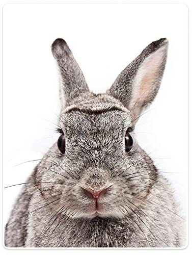 YISUMEI Bedruckte Kuscheldecke Niedlich Braun Hase Decke Flauschig Weich Fleecedecke 125x200 cm