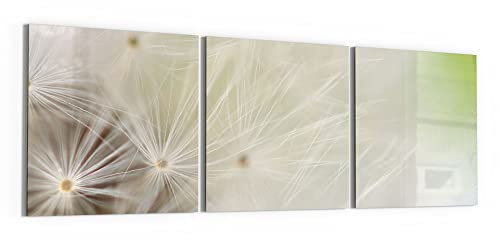 DEQORI Glasbilder Acrylglas | Motiv Pusteblume ganz nah | horizontal 3-teilig 150x50 cm | große XXL Deko | Wandbilder für Wohnzimmer, Schlafzimmer, Flur & Küche | moderne Wanddeko
