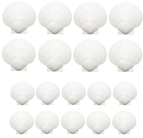 Osmond 18PCS Natural Scallop Shells White Seashells Bulk for Crafts DIY Painting Baking for Baking Shells, Crafts DIY Painting