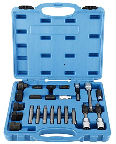 FreeTec 24tlg Lichtmaschinen Reparaturwerkzeug Wechselstromgenerator Werkzeug Lichtmaschinen Bit- Steckschlüssel-Set