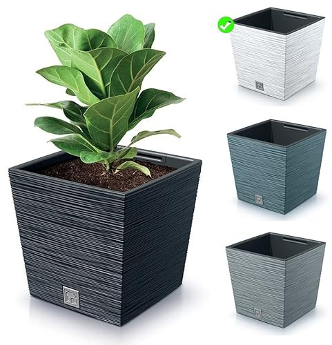 rg-vertrieb Blumenkasten Blumenkübel Blumentopf Pflanzkübel Quadrat Furo Low Tannennadeln Design mit Einsatz Struktur (240 Weiß)