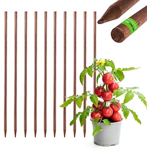 KADAX Rankhilfe aus Holz, imprägnierte Pflanzstäbe, Kletterpflanzen-Stab, wetterfeste Rankstange, Blumenstab, Rankgitter, Holzpflöcke, Pfähle (10, 28mm x 120cm)