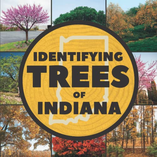 Identifying Trees of Indiana: A Simple Identification Guide Book To Identify Tree Leaves, Bark, Seeds, Fruits, and Flowers (Great For Beginners!)