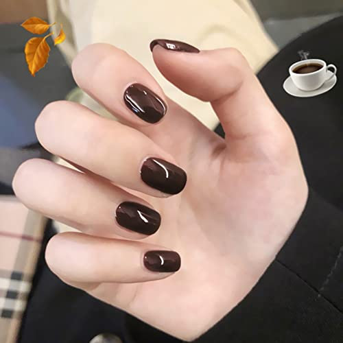 Short Square Dark Brown False Nails Glossy Pure Color Collection,24Pcs Full Cover Acrylic Stick on Nails with Jelly Glue for Women Girls Nails Art (Dark Brown)