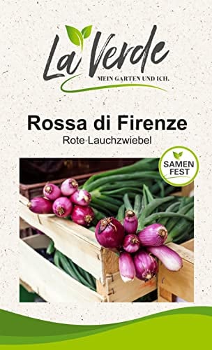 Lunga di Firenze Zwiebelsamen
