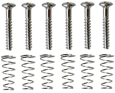 6 Stück E-Gitarre Single Coil Pickup Schrauben + Federn Set Silber