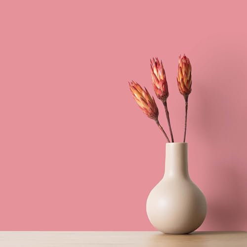 K&L Wall Art Pintura mate para paredes interiores de color rosa, 2,5 litros