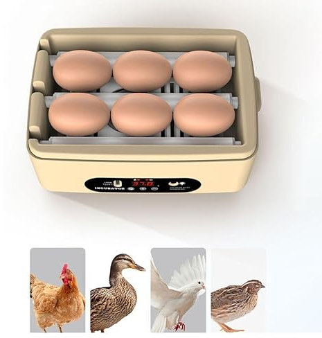Automatischer Brutkasten mit 6 Eiern zum Schlüpfen von Geflügel mit automatischer Kipptemperaturregelung für experimentelle Erkundung von Hühner- und Enteneiern