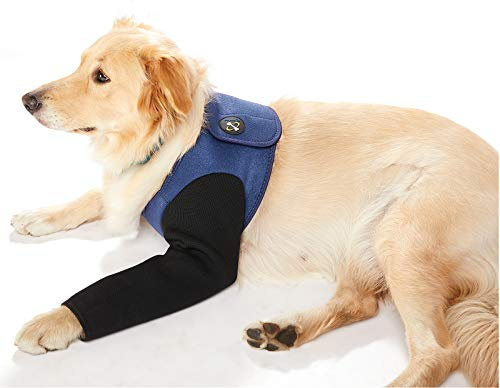 Coodeo Hund Recovery Anzug, Abriebfeste Hund Recovery Hülse, waschbar 2.5mm wasserdicht, Haustier Wunden verhindern Lecken, beißen, trocken halten (M)