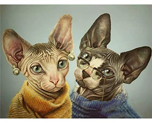 YJPZZG Kreative Puzzles 3000 Stück Katze mit Brille Malpuzzles FüR Erwachsene Tierpuzzles Dekorative Holzpuzzles Puzzles Mit Landschaftsmotiven Fertige Größe 122×81cm