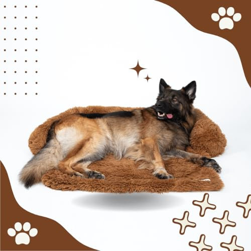 Pfoten&Nasen(TM Intelligente Hundebett Sofaschutz, Farbe:Braun, Größe:Mittel