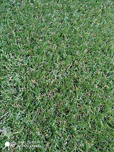 Kunstrasen Rollrasen Rolle 20 mm 2x10 Metros grün Rasen