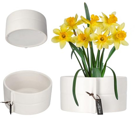 KADAX Pot de Fleurs en Céramique 2 Couleurs - Blanc, Diamètre 18cm - Pour Arbres Dragon