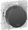 Schneider Electric - Odace - Prise RJ45 CPL - Anthracite - compatibble standard HPAV - 200Mbp/s - S540490