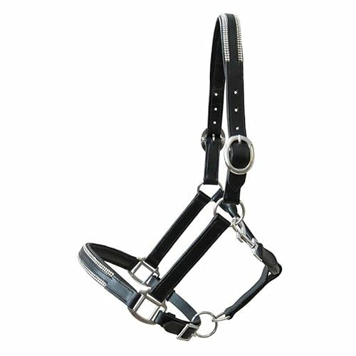 German Riding Lederhalfter Sparkle (Shetty)