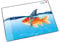 Läufer 46649 Schreibtischunterlage Goldhai Fisch, 53x40 cm, rutschfeste Schreibunterlage für Kinder, Zubehör für Kinderschreibtisch, mit transparenter Seitentasche