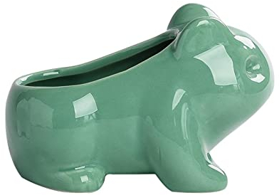 YUANstore Oddish Keramik Blumentopf mit Loch Kawaii Sukkulenten Pflanztopf Topf Blume Grün Pflanzen Topf Haushalt Büro Tisch Mini Dekorieren