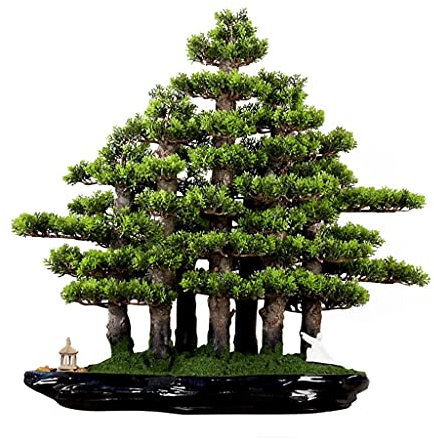 HASMI Künstliche Bonsai Künstliche Kiefer-Bonsai-realistische Zypresse Und Moos-chinesisches Bonsai Mit Kleinem Pavillon Und Bösewicht Innenbüro-Dekoration Künstliche Pflanze
