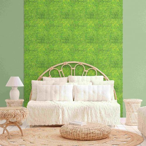 Bilderwelten Moosbild Akustik-Paneel Apfelgrün 24 Stk. 52x52 cm echte konservierte Mooswand Moos Akustik Platte Wand Panel Wohnzimmer Schlafzimmer