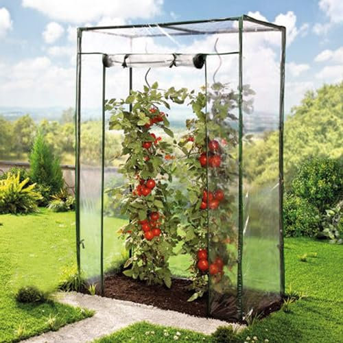 TOPCENT Tomaten-Gewächshaus mit PE-Abdeckung, 100 x 50 x 150 cm