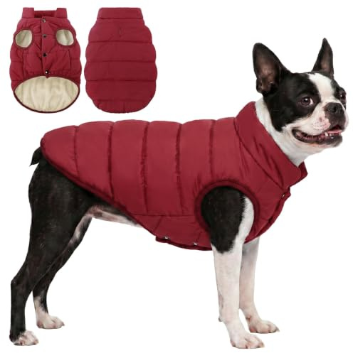 ASENKU Hundemantel Winter M wasserdichte & Winddichte Hundejacke mit Fleece | mit Geschirröffnung, Druckknöpfe, Warm Wintermantel & Winterjacken für mittelgroße Hunde für Dackel,Beagle, French Bulldog