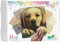Pixel P090045 Mosaik Geschenkverpackung Hund, Pixelbild ca. 20,3 x 25,4 cm groß, kinderleichtes Stecksystem, ohne Bügeln und Kleben, Steinchen aus Biokunststoff, ideal für Kinder