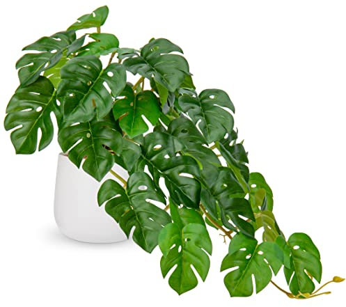 Hollyone Artificial Plants in Ceramic Pots, Fake Monstera Plant Decorative Faux Potted Plants, Realistic House Plant Indoor for Home Décor, Bathroom, Living Room, Kitchen, Shelf, Office Decorations