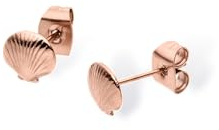 Purelei Muschel Ohrstecker für Damen, Ohrschmuck aus Edelstahl in Muschelform, kleine maritime Ohrringe für Sommer, Strand, Urlaub und Alltag, klassischer Damen Schmuck