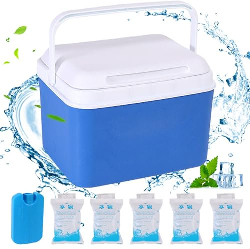 Mini -Kühler, 5qt isoliert Kleiner Harter Kühler, tragbare kleine Eiskiste mit Griffen, Mini -Kühler -Lunchschachtel für Strandpicknick -Camping, Blauer kleine Harte Kühler