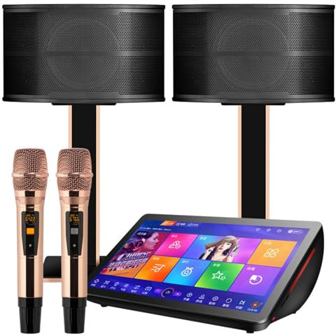 BDJSN 19.5inch Professional KTV Player, Capacitive Touch Screen Karaoke System With Wireless Microphone & 10-inch Speaker, AI Smart Voice/Phone App Control, Desktop KTV Set for Home