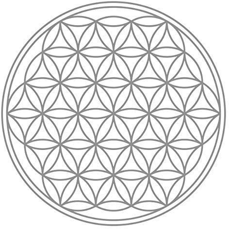 BLUME DES LEBENS - IN - Geometrie - Wandtattoo Wandaufkleber Sticker Aufkleber (40 (B) x 40 (H) cm, Grau)