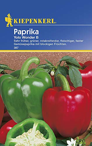 Kiepenkerl 387 Paprika Yolo Wonder B (Paprikasamen)