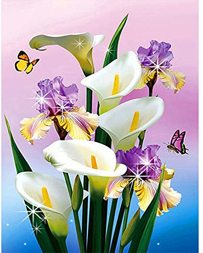 5D Diamond Painting Eckige Steine Blume 40x50 cm Diamant Painting Bilder Erwachsene Square Drill Diamond Painting Lila Blumen Iris Iris Tectorum Maxim. Mohnblume Malen Nach Zahlen Diamant Blumen