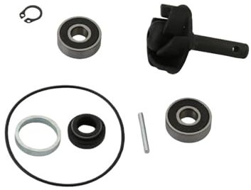 WFRVBFG Kit de reparación de Agua for Scooter Aerox Naked II 50 Jog RR 50cc 2T 100110010