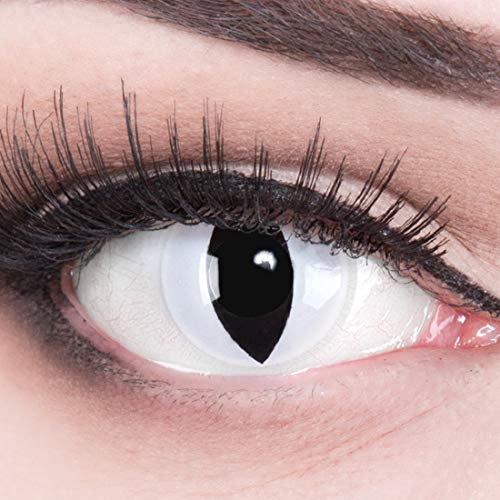 Farbige graue Crazy Fun Katzen Kontaktlinsen 'Viper' Ohne Stärke mit Gratis Linsenbehälter - Topqualität zu Karneval, Fasching und Halloween (0.00 Ohne Stärke)