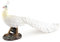 ISAKEN Pfau Figur Skulptur Ornament Peacock Desktop Realistische Pfau Moderne Elegante Kunst Wohnzimmer Dekor Mini Statue Zubehör Geschäftsstelle Geschenke