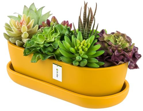 botle Pot de fleurs ovale en céramique jaune avec soucoupe - 13 x 27,5 x 8 cm - Surface mate - Moderne et glamour