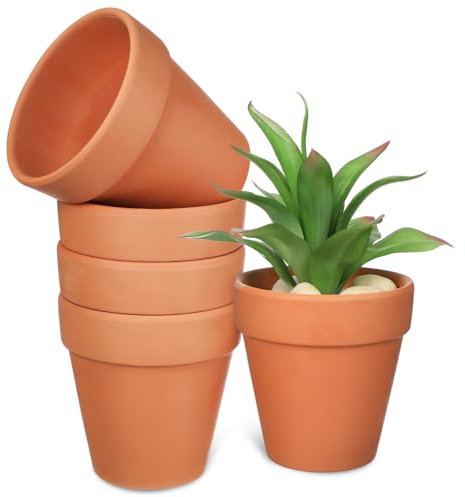 PHENOFICE 5piezas Maceta De Terracota Macetas De Barro para Plantas para Suculentas