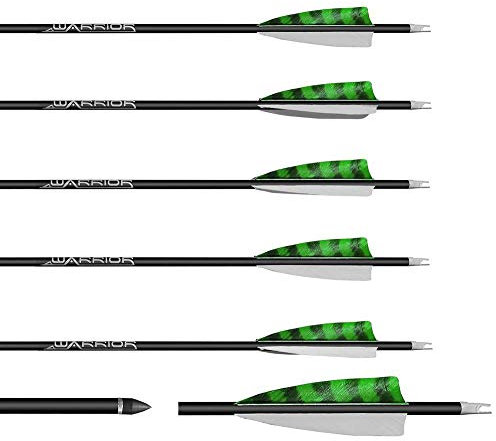 Franks-Castle 6 Stück Gold Tip Warrior Carbonpfeile Spine 600 mit 4 Naturfedern