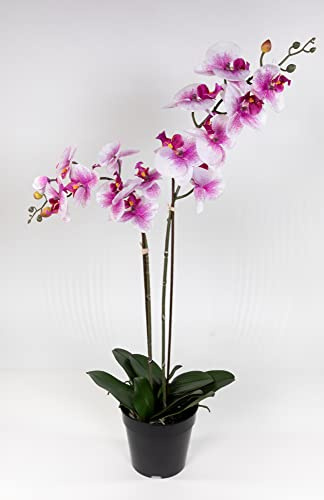 Seidenblumen Roß Orchidee 75x40cm Real Touch rosa-weiß CG künstliche Orchideen Blumen Kunstpflanzen Kunstblumen