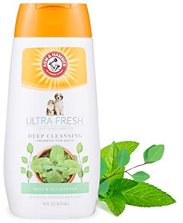 Arm & Hammer Ultra Fresh Deep Cleansing Shampoo With Charcoal & Rosemary