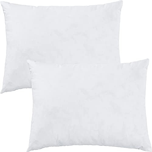 Erwin Müller Kissenfüllung Riga 2er-Pack 100% Federn weiß Größe 30x40 cm