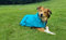 Bucas Freedom Hundemantel in Sweet Blue, Größe:35 cm