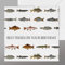 Presenting Perfection Angel-Geburtstagskarte, lustige Angler-Karte für jeden Angel-Geburtstag, alle Fische referenziert auf der Rückseite