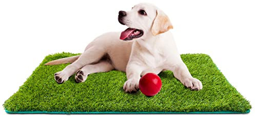 DESHOME Toby Tapis pour chiens chats et enfants en gazon synthétique 45 x 65 cm avec fond drainant pour extérieur et intérieur