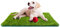 DESHOME Toby Tapis pour chiens chats et enfants en gazon synthétique 45 x 65 cm avec fond drainant pour extérieur et intérieur