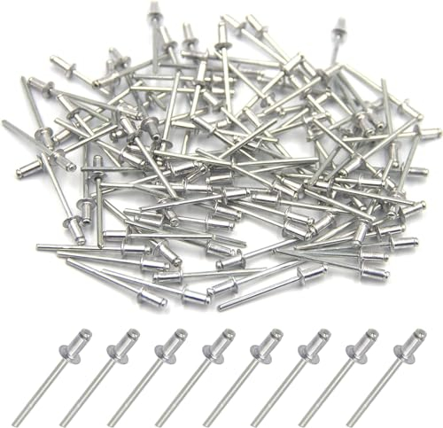 BESTYCHAO Lot de 100 rivets aveugles en aluminium 4 mm x 8 mm, rivets pop à extrémité ouverte (argenté)