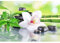 DCIDBEI Diamond Painting Orchideen Quadratische Steine 50x40 cm Diamant Painting Bilder Erwachsene Blumen Orchideen Square Diamond Painting Orchideen Diamant Painting Orchideen Stickbilder Blumen
