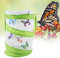 Red para Mariposas, Recinto de Malla para Plantas, Ventilación y Protección del Hábitat de Mariposas, 5,5 X 5,5 X 7,1 Pulgadas para Cría y Jardinería