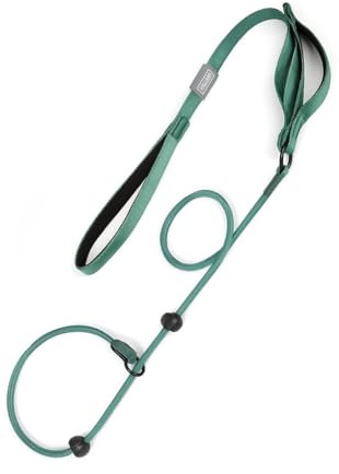 CHILIMILII Nylon Slip Dog Lead- Training Leash with Double Handle-No Pull Puppy Walking Leash-1.5 Meter/5 ft Strong-Weather Resistant & Strong Material-for Puppy, Medium and Large Dogs (Green)
